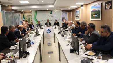 تصویر از تعامل وهمفکری فعالان حوزه کاغذ، مقوا،خمیرکاغذ، چاپ و فرآورده های سلولزی برای تامین نیازمصرف کنندگان